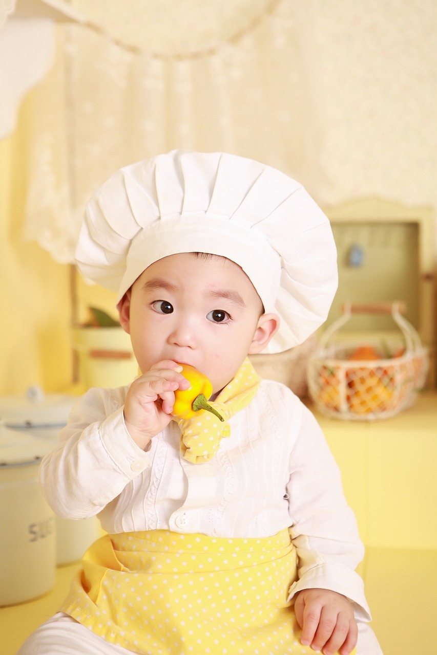 NF宝贝(国际)生殖的婴儿馄饨模具魔幻厨房（婴幼儿的馄饨怎么做）